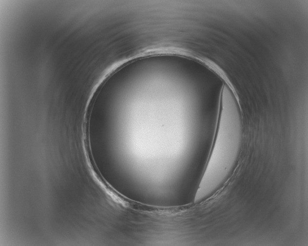 X0000056311005200508260820