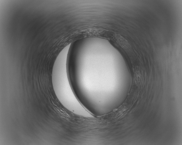 X0000056311010200508260819