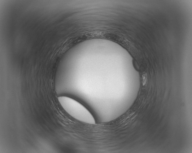 X0000056311011200508260819