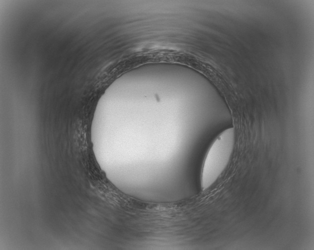 X0000056311013200508260819