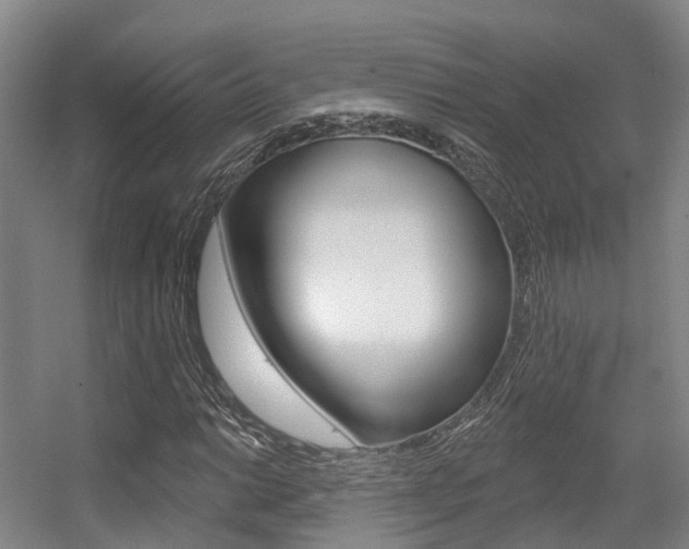 X0000056311014200508260819