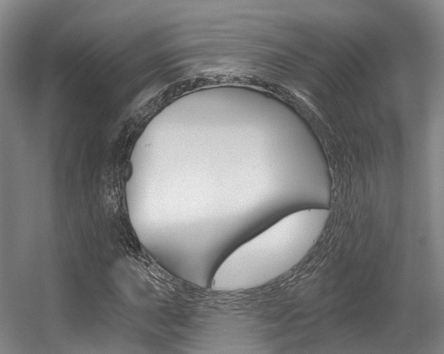 X0000056311015200508260819