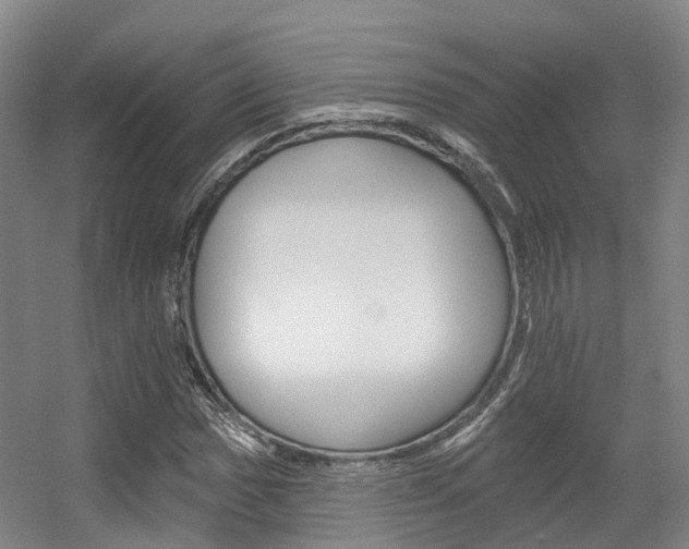 X0000056311017200508260819