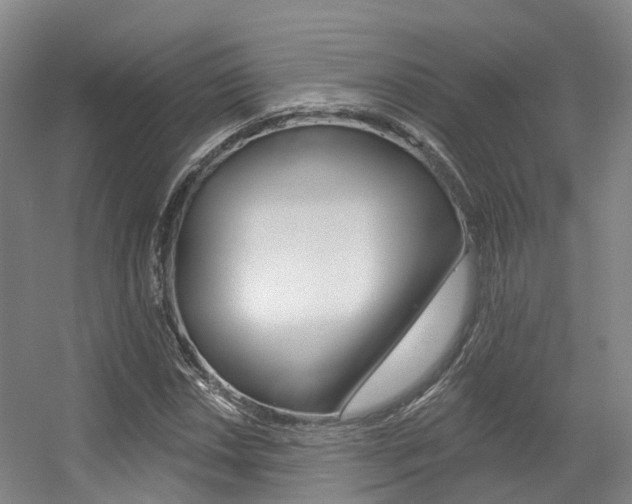 X0000056311018200508260819