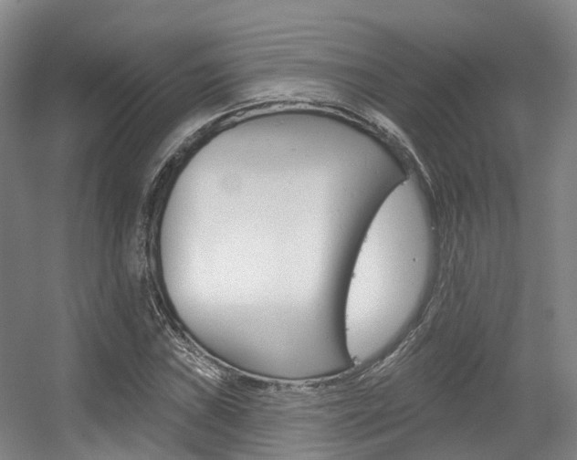 X0000056311019200508260819