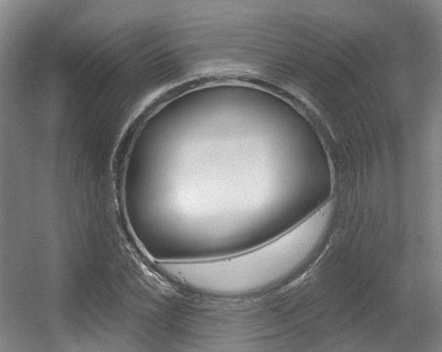 X0000056311022200508260819