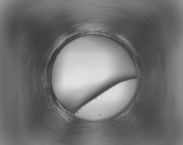 X0000056311023200508260819