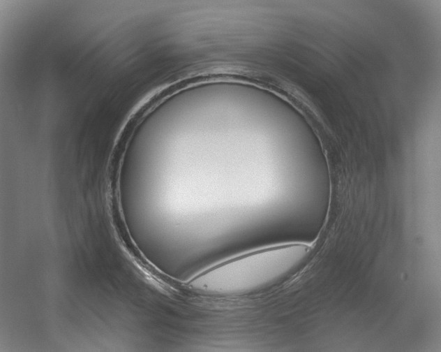 X0000056311024200508260819