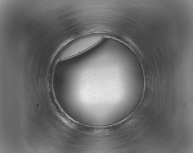 X0000056311026200508260819