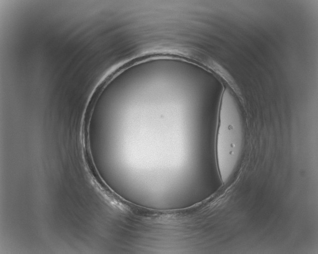 X0000056311028200508260819