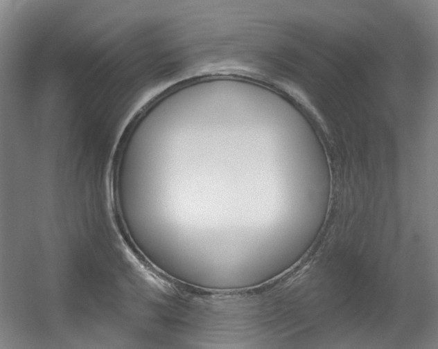 X0000056311032200508260819