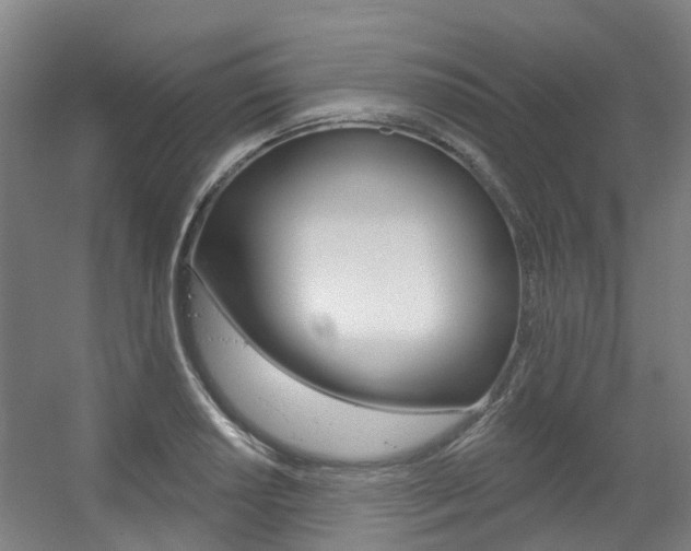 X0000056311034200508260819