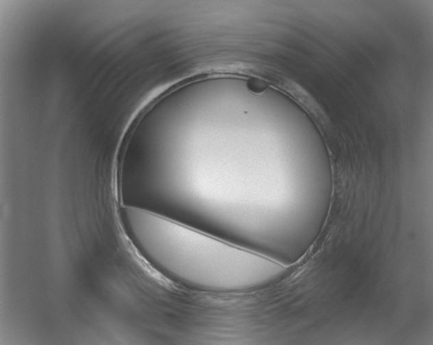 X0000056311036200508260819