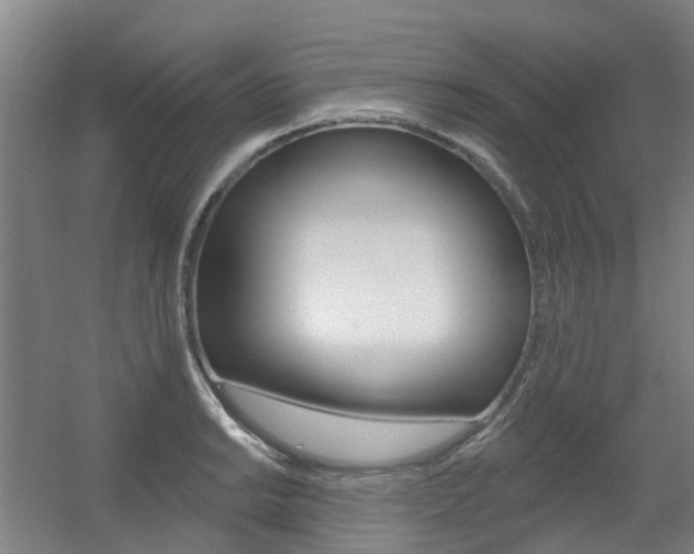 X0000056311038200508260819