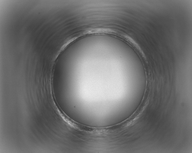 X0000056311041200508260819