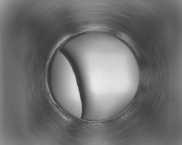 X0000056311043200508260819