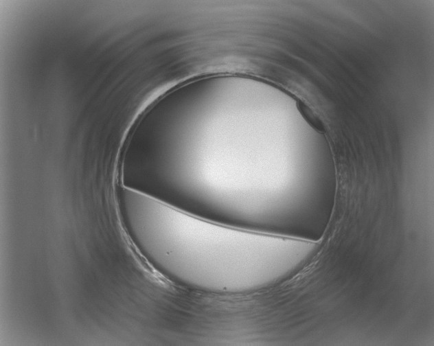 X0000056311044200508260820