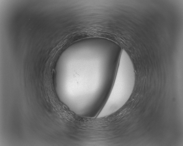 X0000056311057200508260819