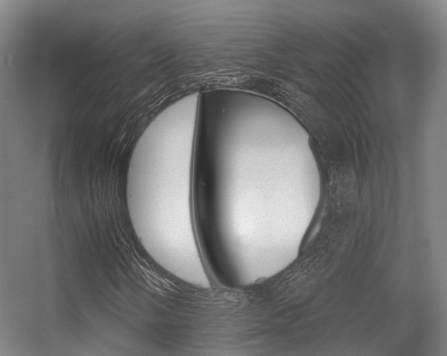 X0000056311058200508260819