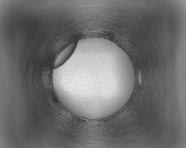 X0000056311059200508260819