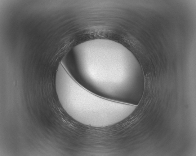 X0000056311060200508260819