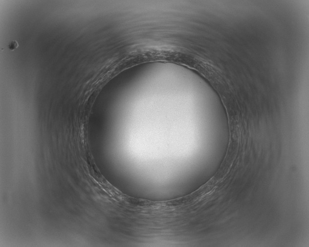 X0000056311061200508260819