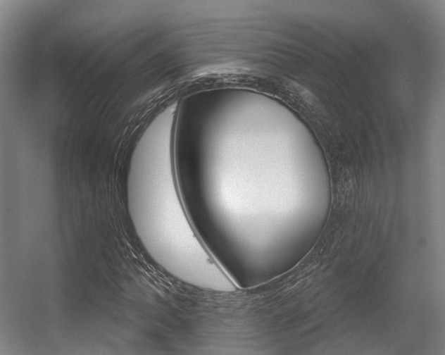 X0000056311062200508260819