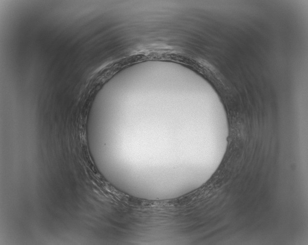 X0000056311063200508260819