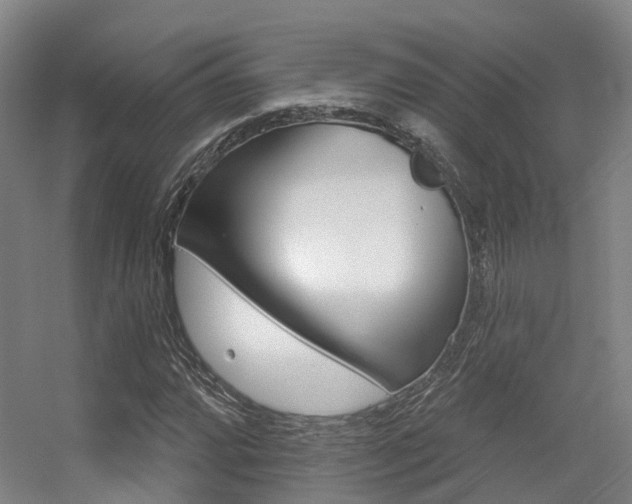 X0000056311064200508260819