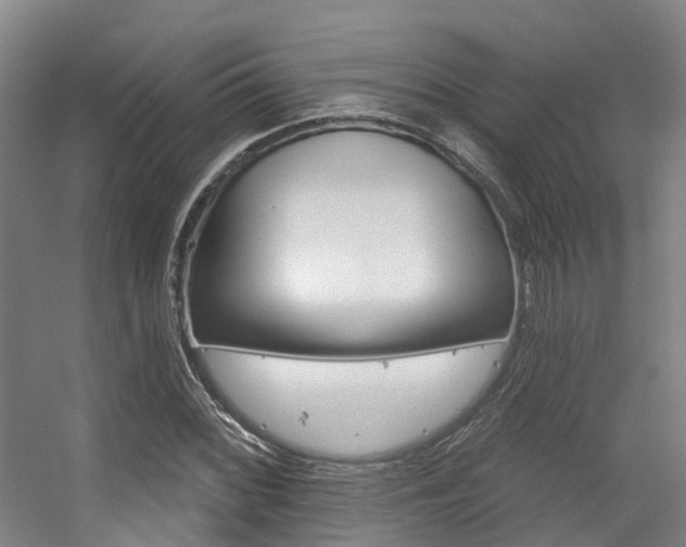X0000056311068200508260819