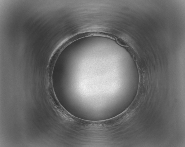 X0000056311069200508260819