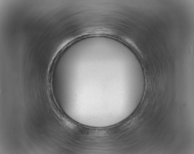 X0000056311071200508260819