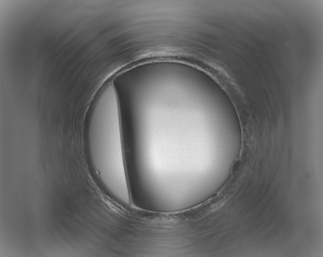 X0000056311073200508260819