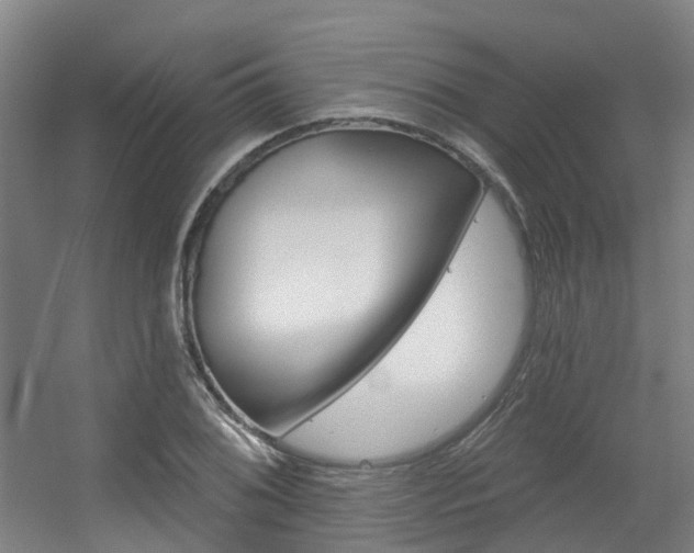 X0000056311076200508260819
