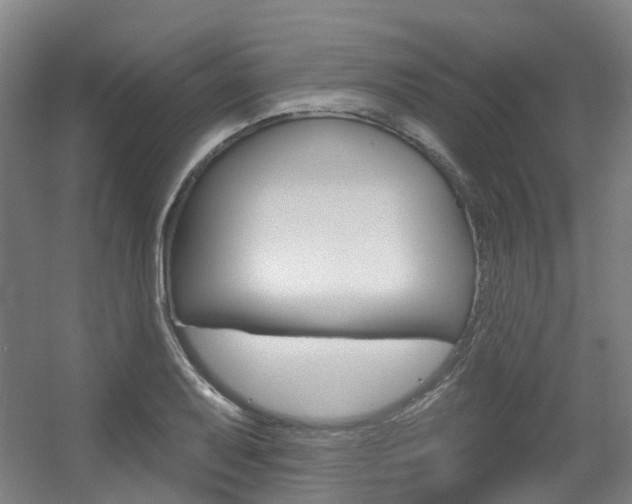 X0000056311079200508260819
