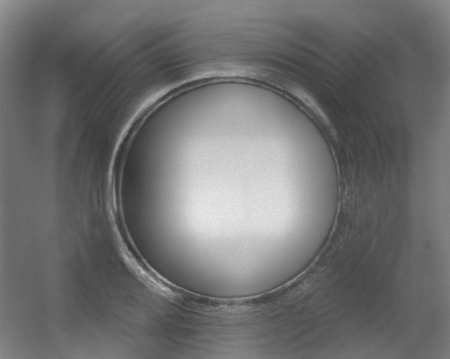 X0000056311080200508260819