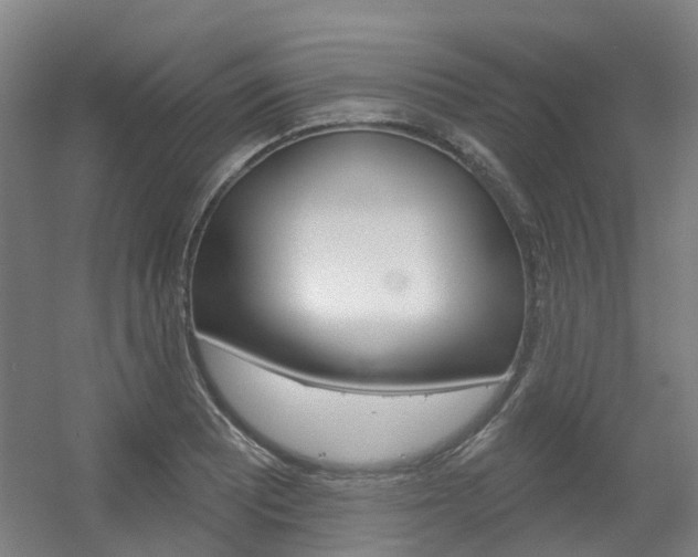 X0000056311081200508260818