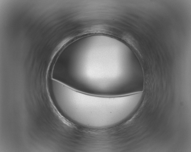 X0000056311082200508260818