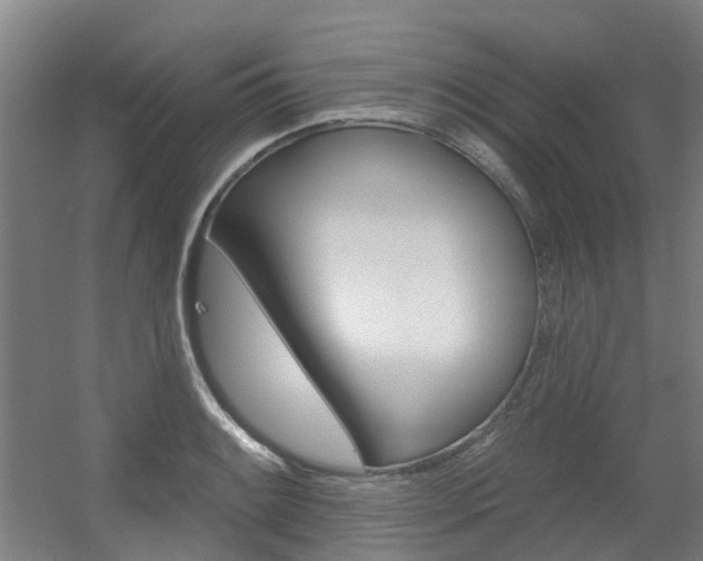 X0000056311084200508260818