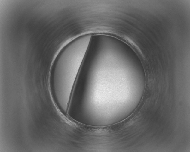 X0000056311085200508260818