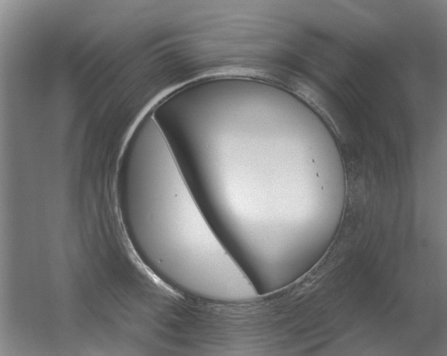 X0000056311092200508260818