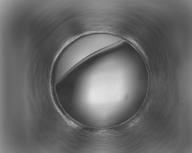 X0000056311093200508260818