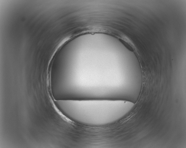 X0000056311095200508260818