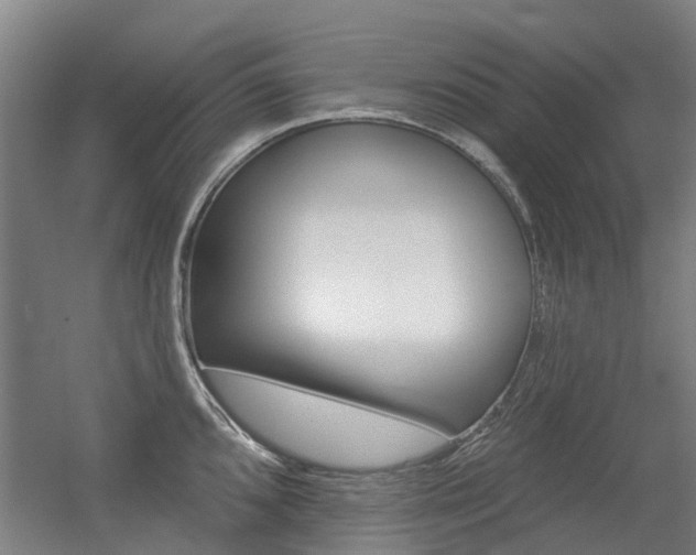 X0000056311096200508260818