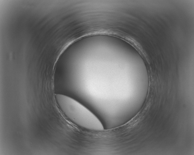 X0000056311097200508260818