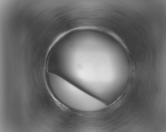 X0000056311101200508260818