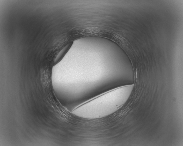 X0000056311107200508260817