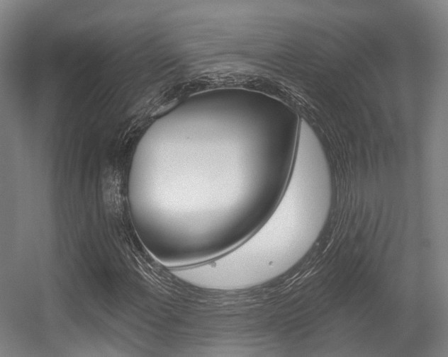 X0000056311108200508260817