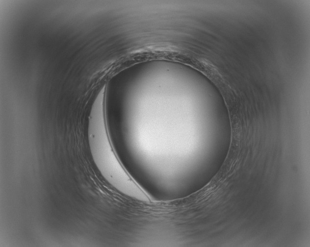 X0000056311110200508260817