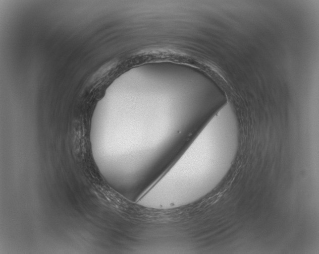 X0000056311111200508260817